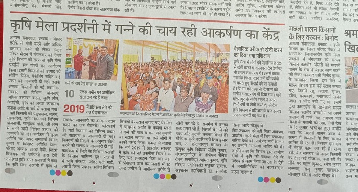 media