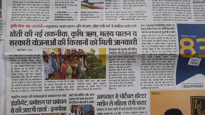 media