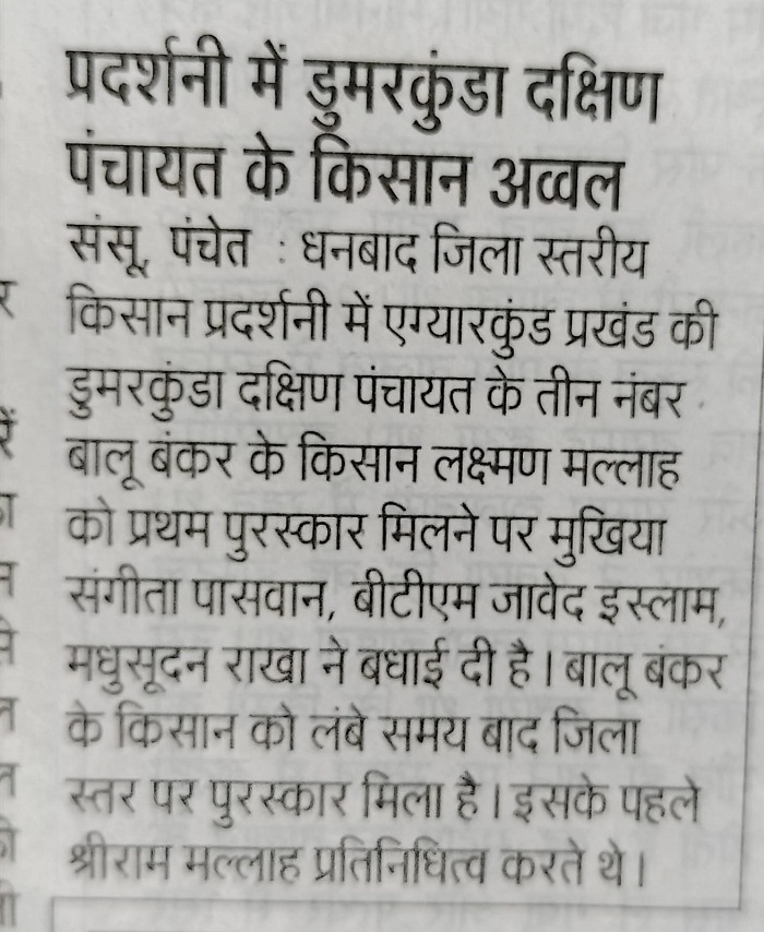 media